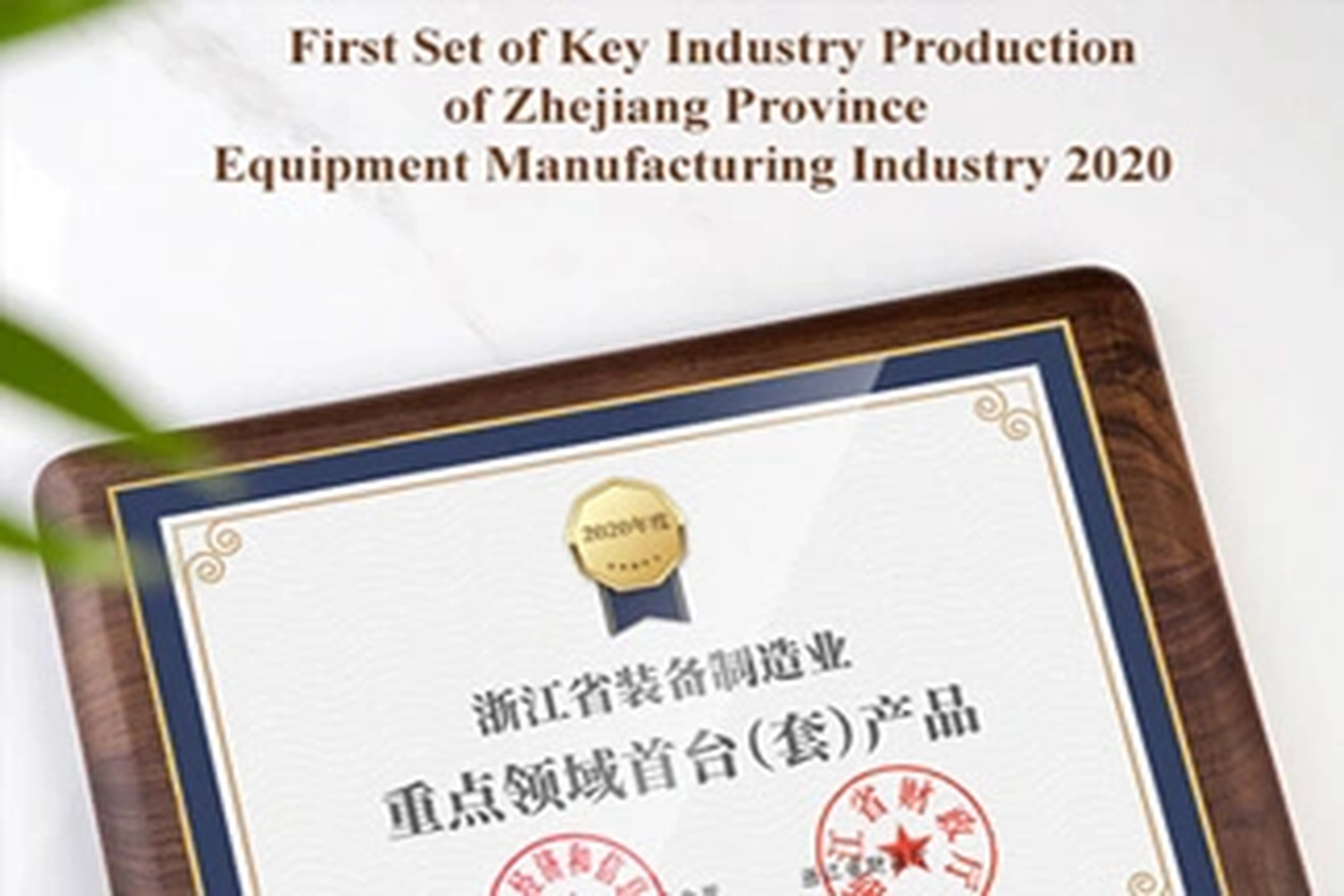 荣誉 | 皇家国际能源在2020年桐庐经济与产业发展大会上获得三项大奖！
